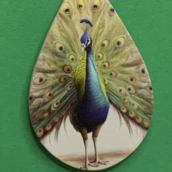 Peacock Earring, Peacock Jewelry, Bird Earring, Silly Earring, Gift Idea, Bird - Picture 5 of 5